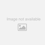 COL3 US26D Cylinder Collar